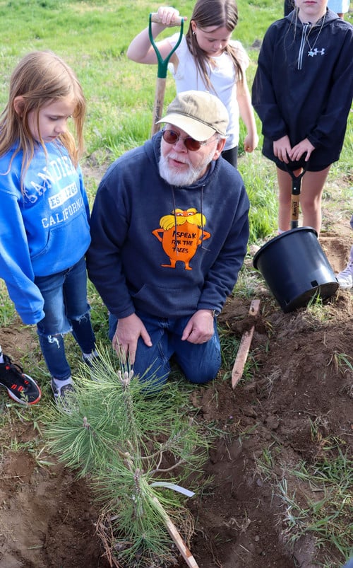 Planting Henley's Evergreen Forest