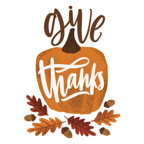 Novembers Focus: Gratitude and Thankfulness
