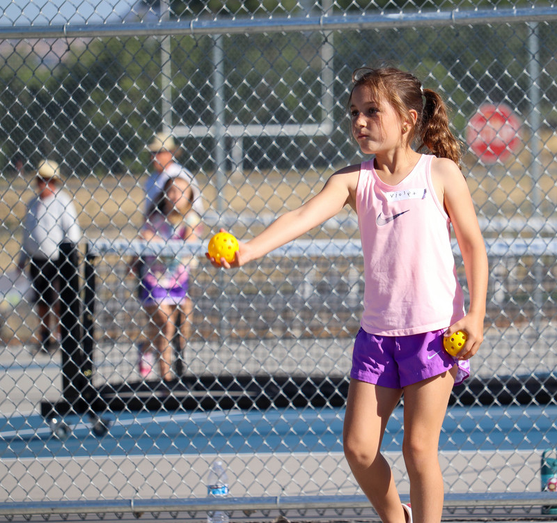 Pickleball - Photo Number 3