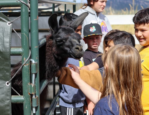 Ag Field Day - Photo Number 2