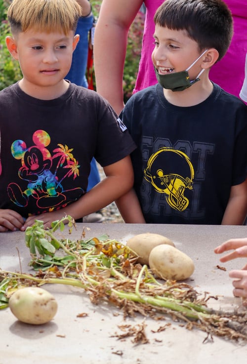 Ag Field Day - Photo Number 4