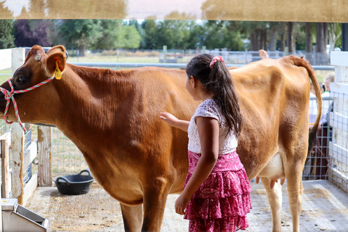 Ag Field Day - Photo Number 8