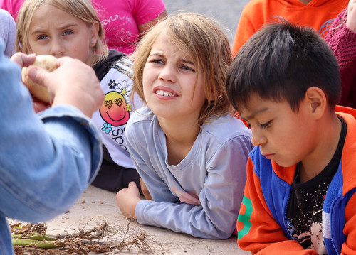 Ag Field Day - Photo Number 9