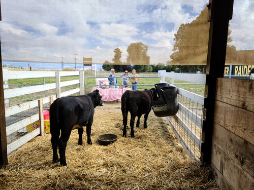 Ag Field Day - Photo Number 10