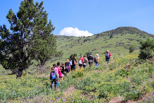 Hogback Summit - Photo Number 3