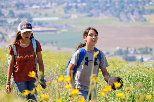 Hogback Summit - Photo Number 6