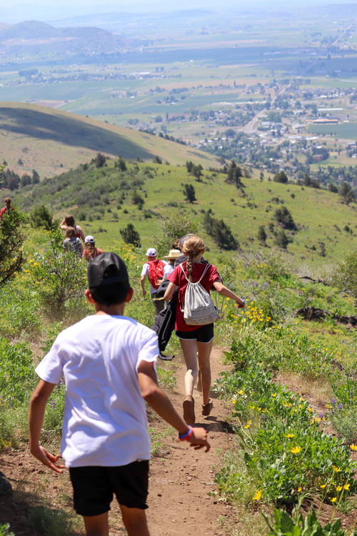 Hogback Summit - Photo Number 10