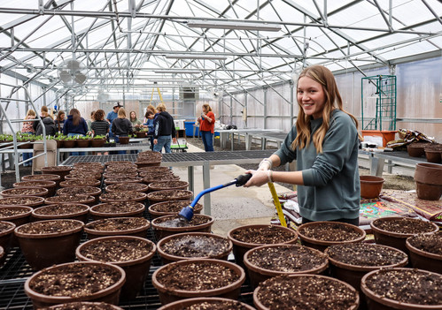 Henley greenhouse - Photo Number 2