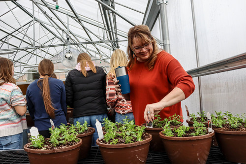 Henley greenhouse - Photo Number 3