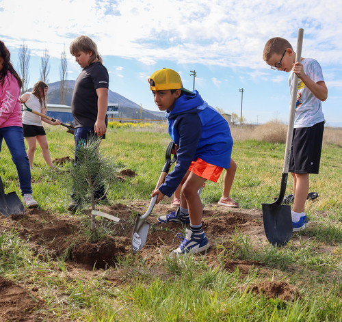 Planting trees - Photo Number 1