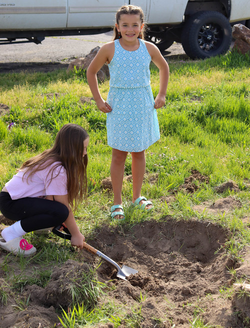 Planting trees - Photo Number 10