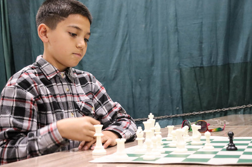 Chess Club - Photo Number 8